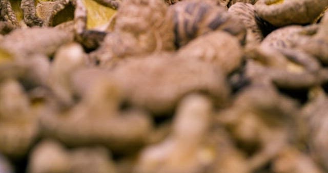 Pile of Dried Mushrooms