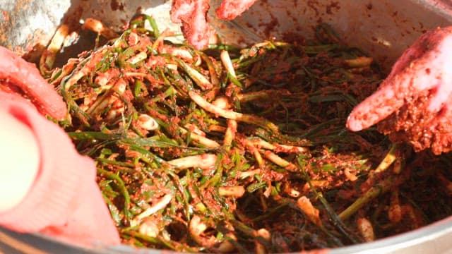 Preparing kimchi with fresh green onions in a metal basin