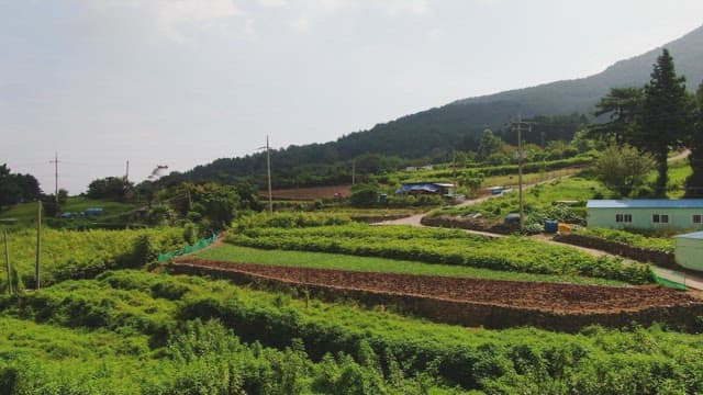 Peaceful rural farm landscape