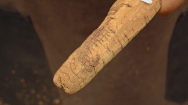 Carving a piece of wood with a knife