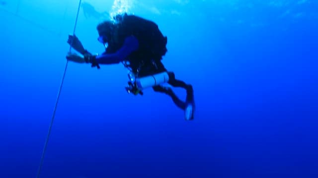 Diver swimming in the sea