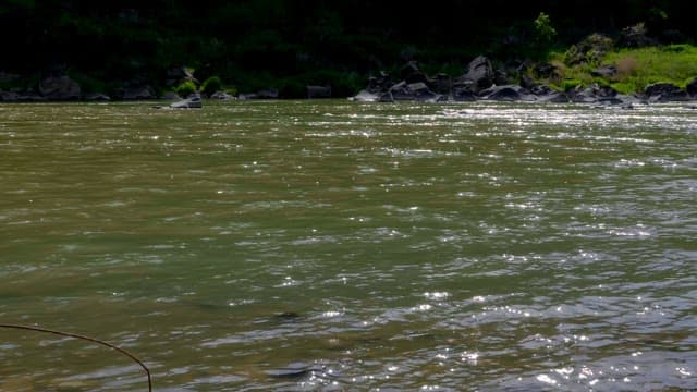 River with sunlight reflecting