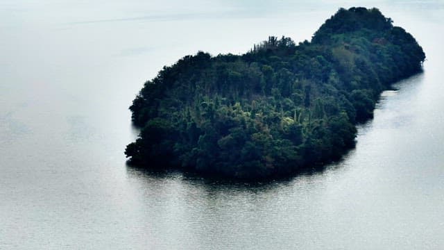Lush green island surrounded by water