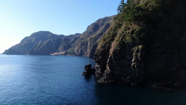 Coastal Cliffs and Lush Greenery Over Ocean