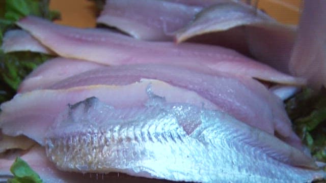 Preparing sliced raw scaled sardine on a bed of lettuce