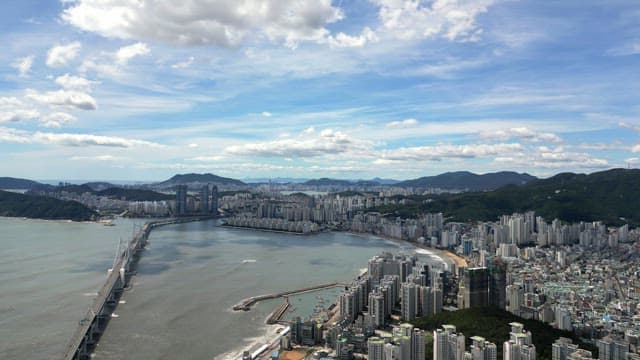 Sprawling cityscape with a bridge and sea