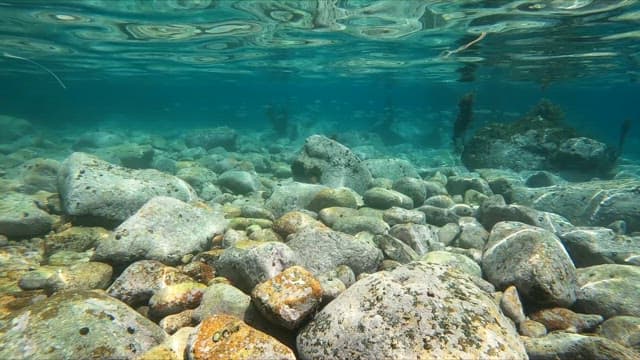 Underwater scene with rocks and fish
