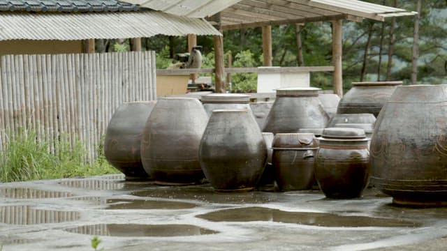 Sitting on a Windowsill Waiting for the Water to Boil