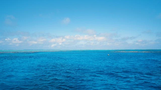 Tranquil Seascape with Clear Blue Skies