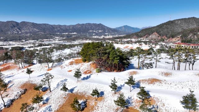 Snowy Landscape with Greenery and Mountains