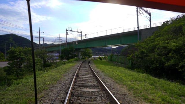 Surrounding scenery seen from the rail bike