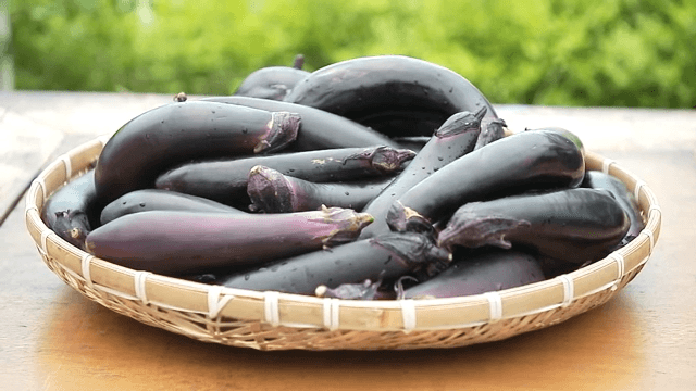 Freshly harvested eggplants in a basket