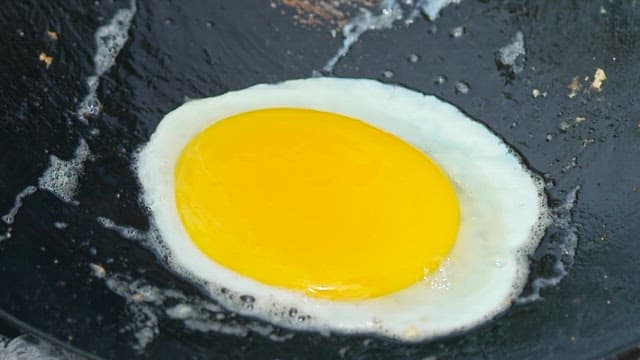 Megapode egg frying in a pan