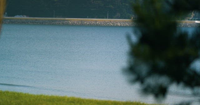 Road Surrounding a Gently Flowing Water Surface