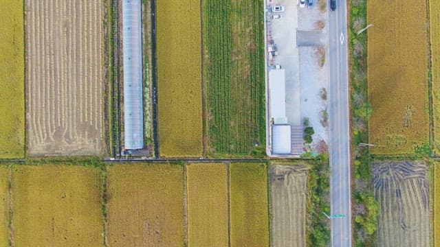 Expansive farmland with greenhouses