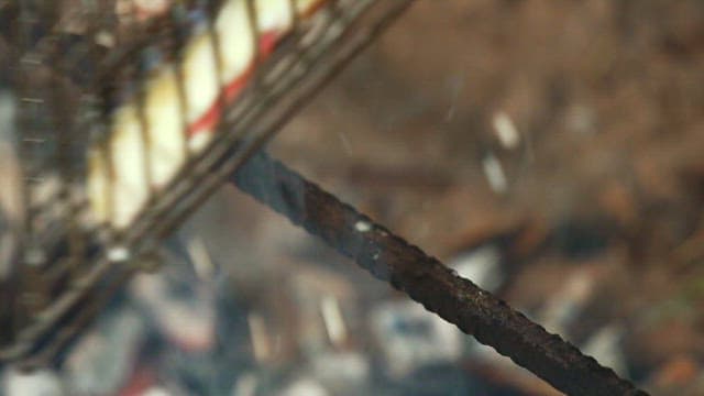 Eels grilling on a barbecue over coals