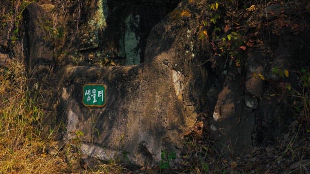 Green name tag for an old spring water site made of rock
