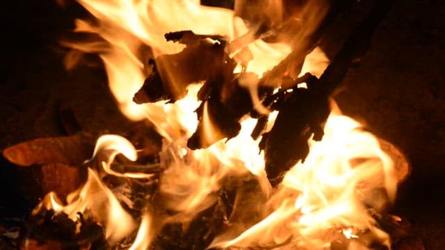 Prepared birds being roasted over an open fire