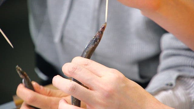Preparing sand eels with skewers in a kitchen