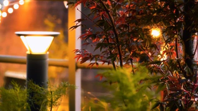 Warm lighting and plants swaying in the wind