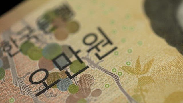 Elaborate design elements to prevent counterfeiting of 50,000 Korean Won banknote