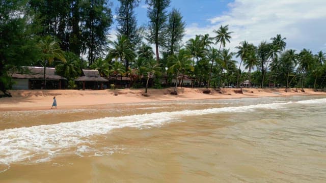 Person walking along a tropical beach