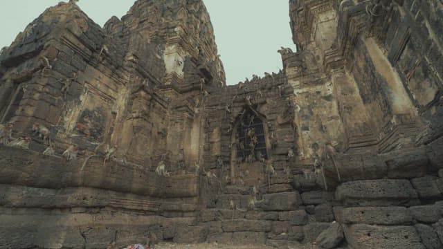 Monkeys Resting and Playing on Ancient Temple