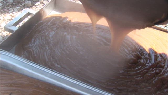 Acorn Jelly Hardened in a Rectangular Mold
