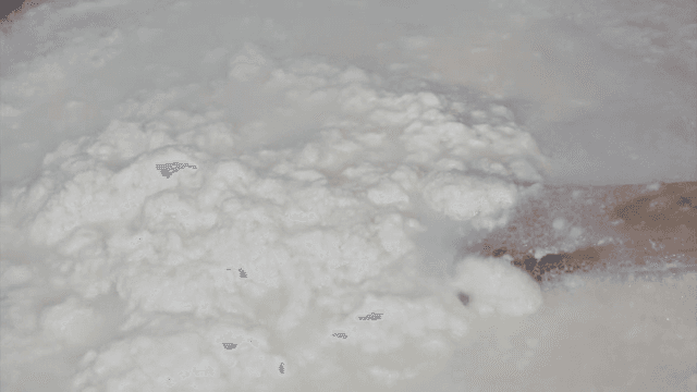 Soft tofu prepared in a restaurant kitchen