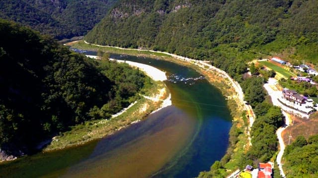 Meandering river through a lush forest valley on a sunny day