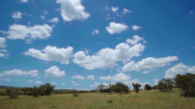 Expansive African Savannah with Fluffy Clouds