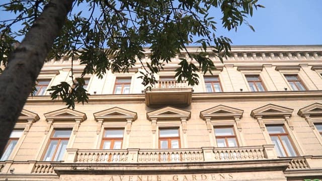 Classic building's facade with tree in foreground