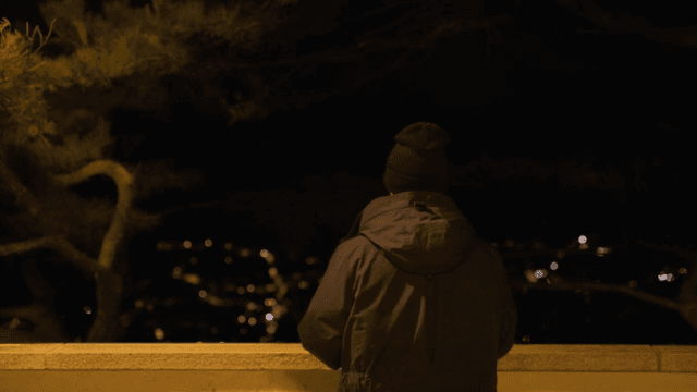 Contemplative Person Overlooking a Night Cityscape