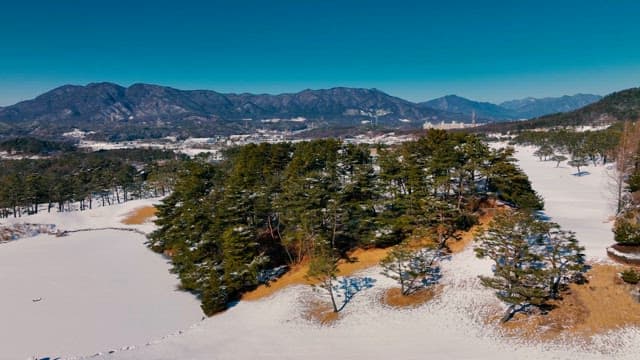 Snow-covered Landscape with Pine Trees