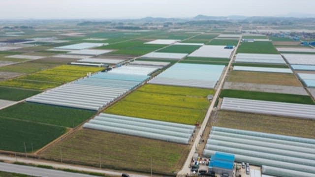 Expansive Farmland with Greenhouses and Plots