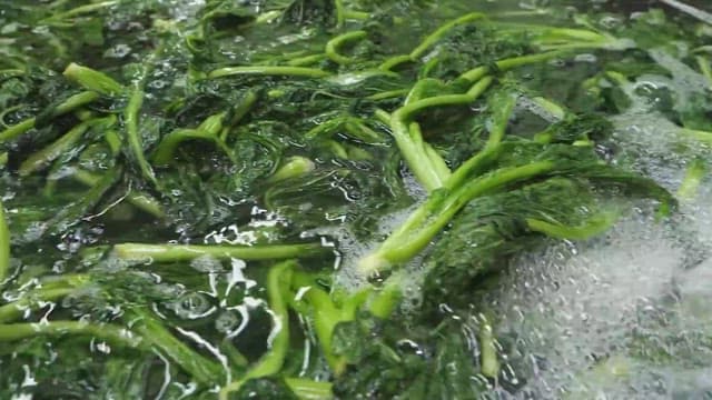 Worker washing greens in water for food preparation