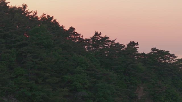 Sunset over a forest and distant sea