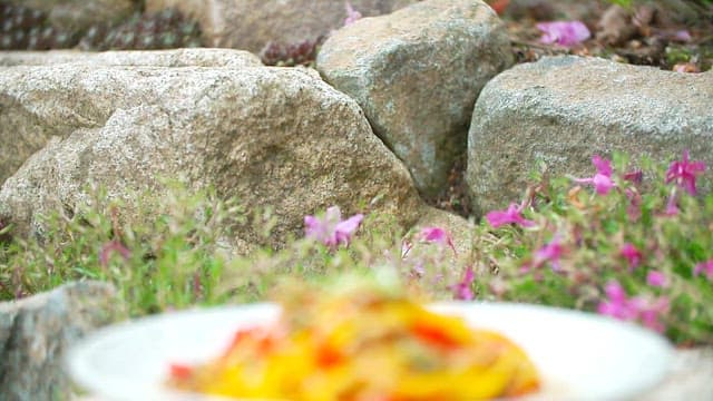 Stir-fried yellow and red peppers on a stone