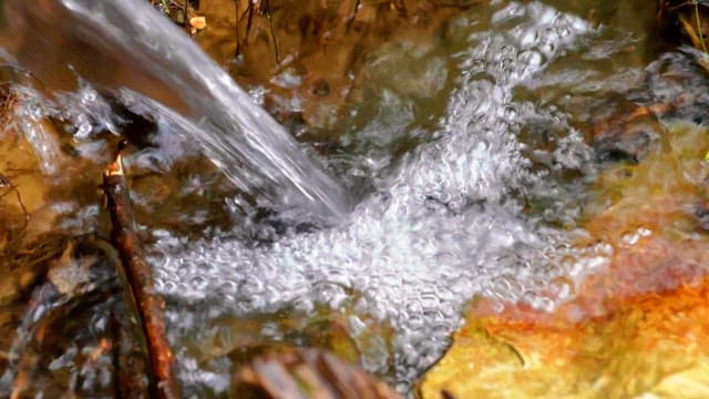 Clean water flowing through a small stream in the forest during the day