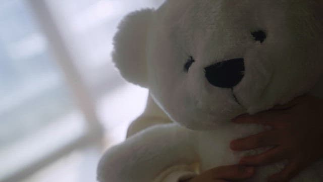 Child holding a teddy bear by the window