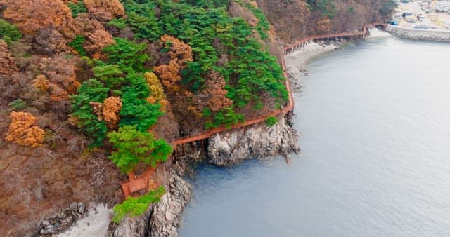 Walkway Between a Autumn Forest and a Blue Sea