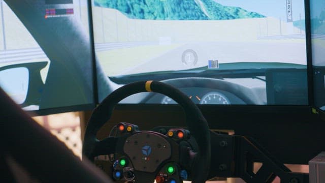 Virtual Racing Simulation Experience