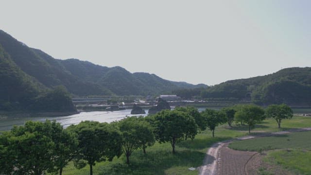 Scenic River View with Lush Greenery and Rocks