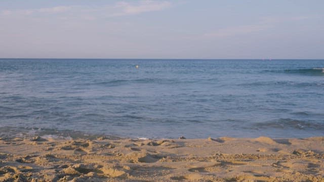 Beach Scene with Gentle Waves at Dusk