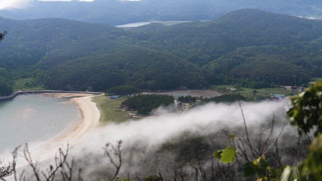 Misty Green Hills Overlooking a Serene Sea
