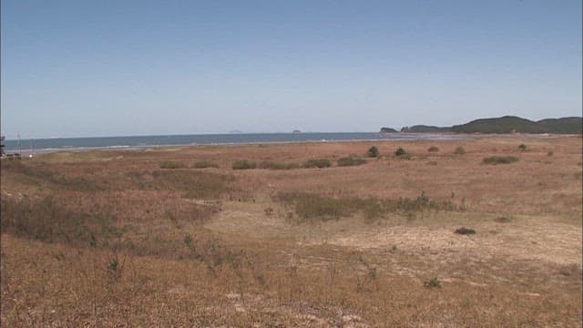 Coastal Grassland with Distant Islands