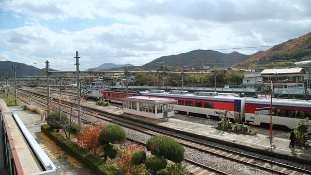 Train passing through a railway station amidst nature on a sunny afternoon