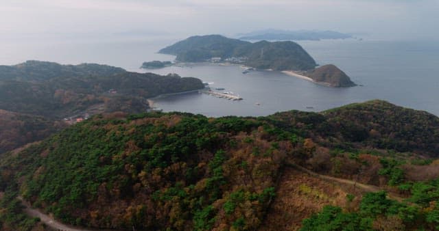 Coastal Landscape with Verdant Hills and Boats