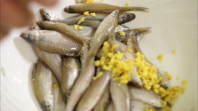 Preparing Fresh Fish with Seasoning