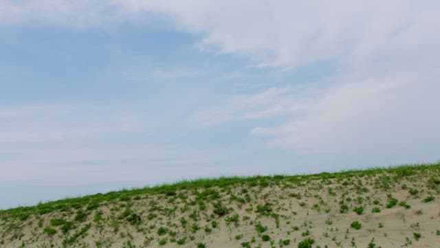 Dunes with Green Grass Under a Clear Blue Sky
